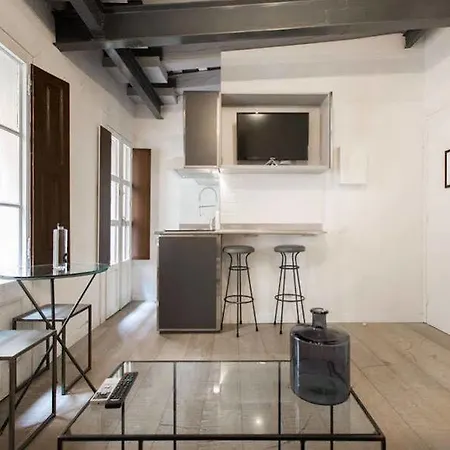 Balcons De Apartment Barcelona
